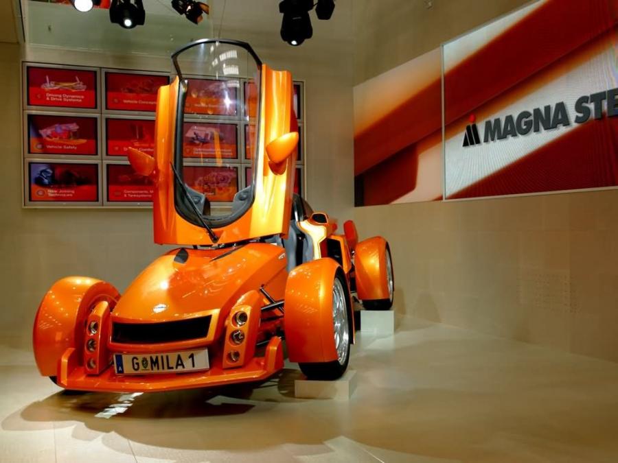  Magna Steyr MILA 2005 года  (фото 3 из 6)